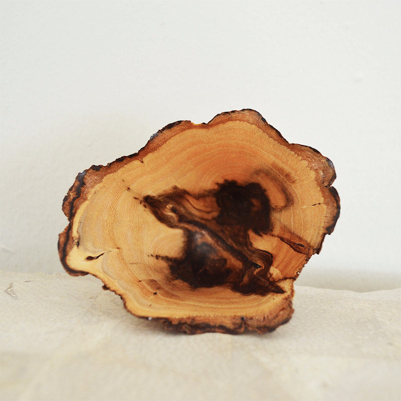 Inside view of two toned wood turned small bowl by Dennis Stewart